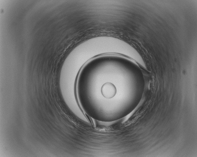 X0000087640564200705181528