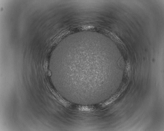 X0000087640565200705181528