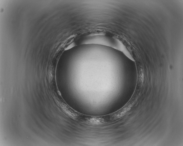 X0000087640566200705181528