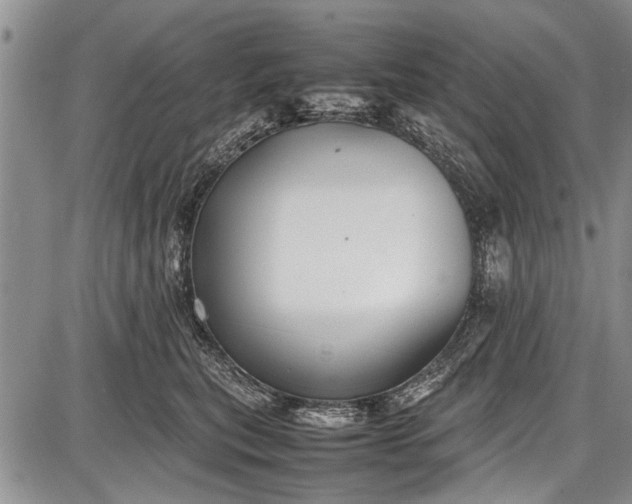 X0000087640567200705181528