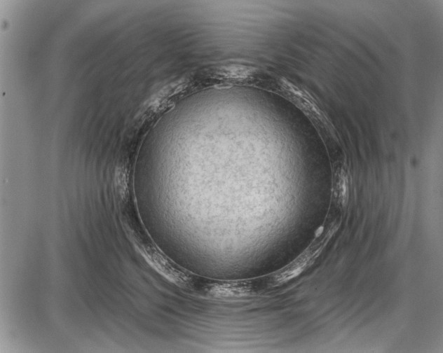 X0000087640568200705181528