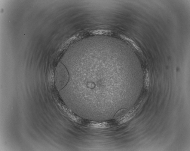 X0000087640569200705181528