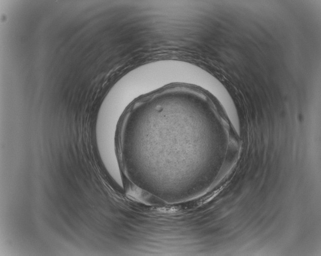 X0000087640570200705181528