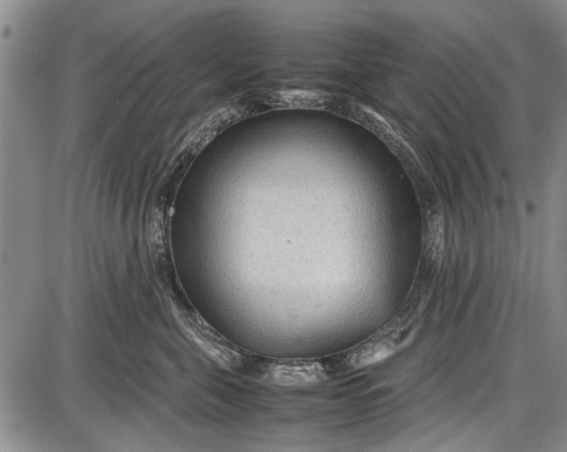 X0000087640571200705181528