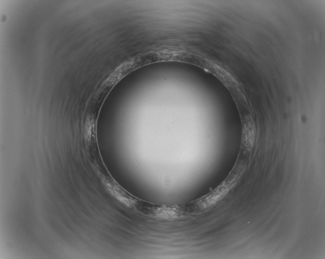 X0000087640574200705181528