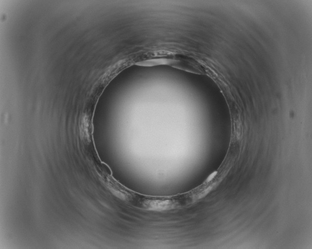 X0000087640575200705181528