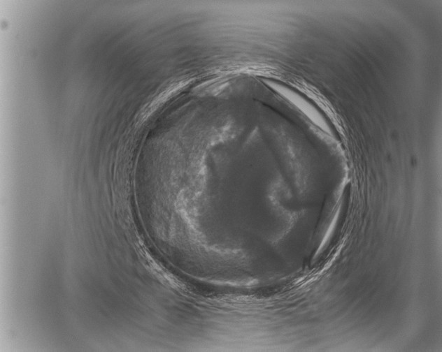 X0000087640577200705181528