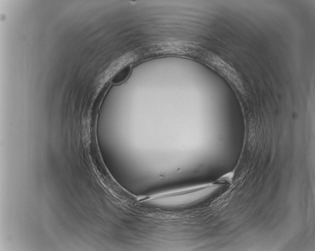 X0000087640578200705181528