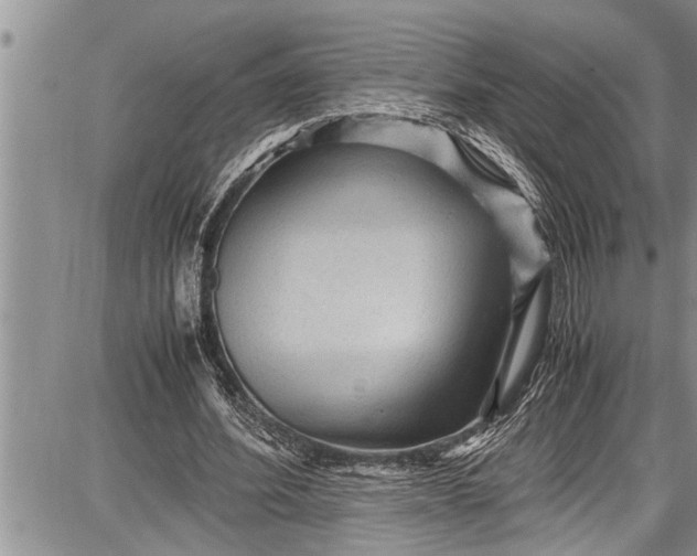 X0000087640580200705181528