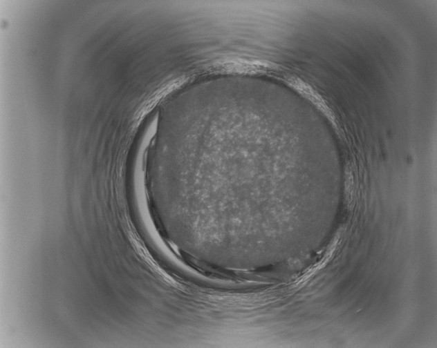 X0000087640581200705181528