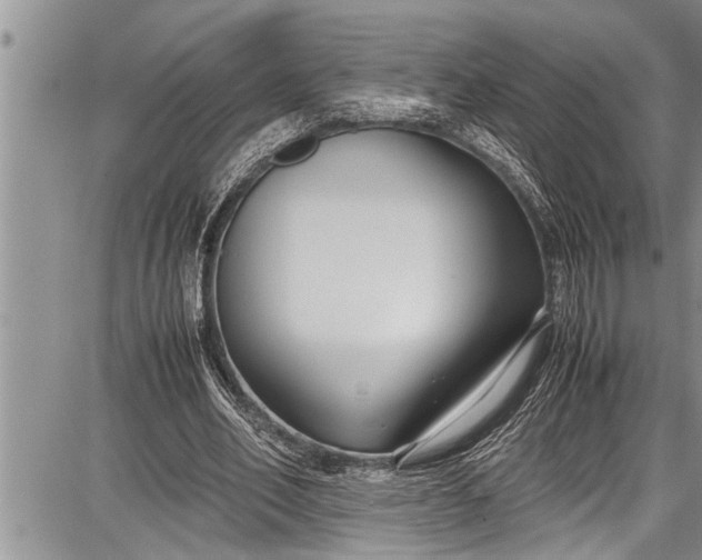 X0000087640582200705181528