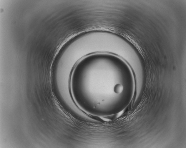 X0000087640584200705181527