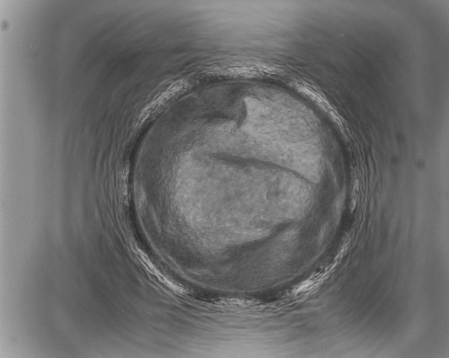 X0000087640585200705181527