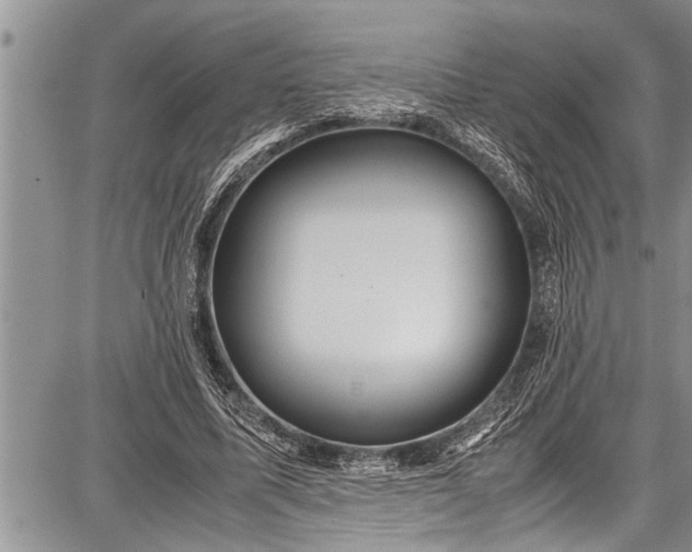 X0000087640587200705181527