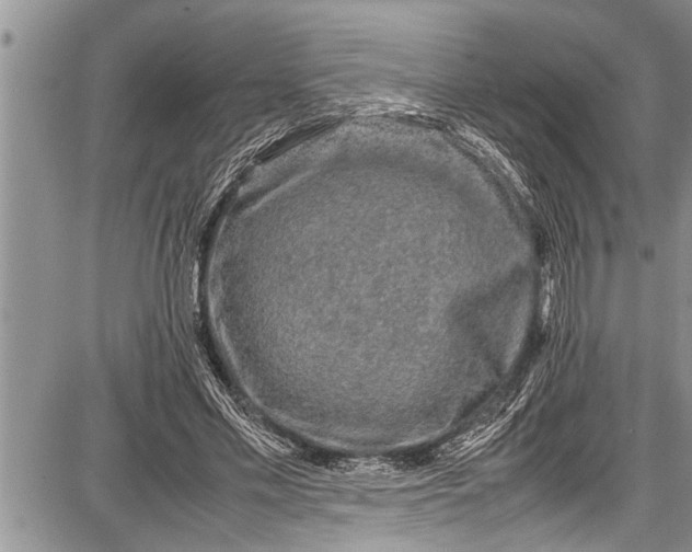 X0000087640589200705181527