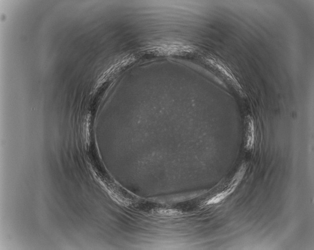 X0000087640590200705181527