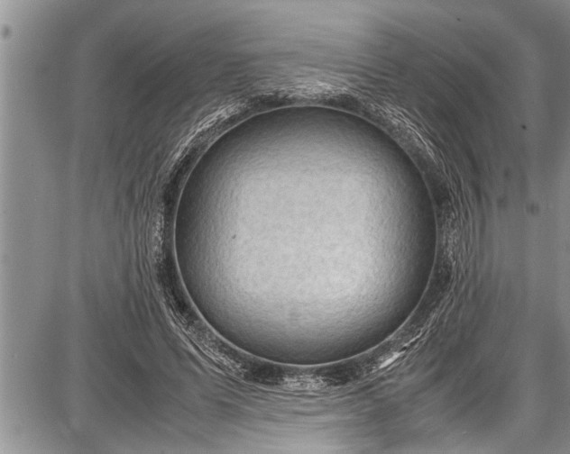 X0000087640591200705181527