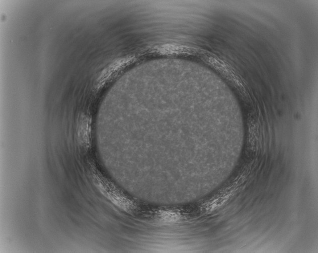 X0000087640592200705181527