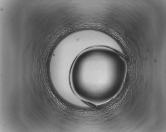 X0000087640593200705181527