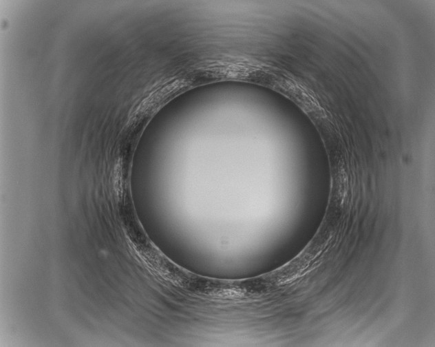 X0000087640594200705181527