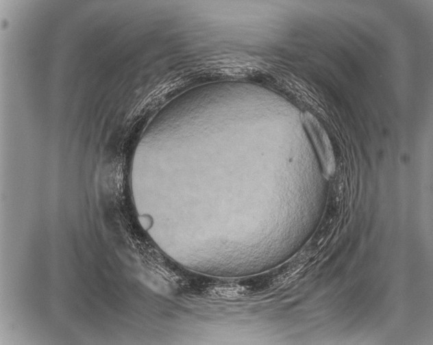 X0000087640595200705181527