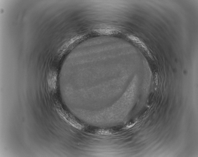 X0000087640596200705181527