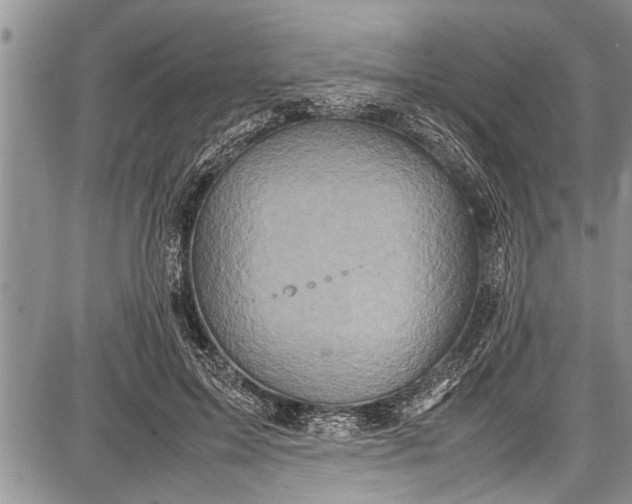 X0000087640599200705181527