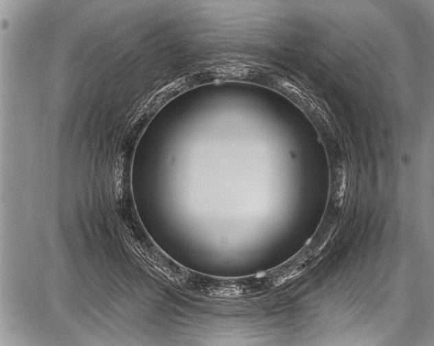 X0000087640600200705181527