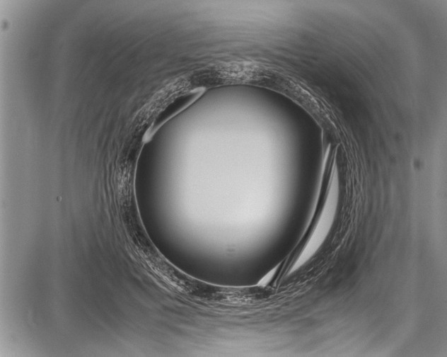 X0000087640601200705181527