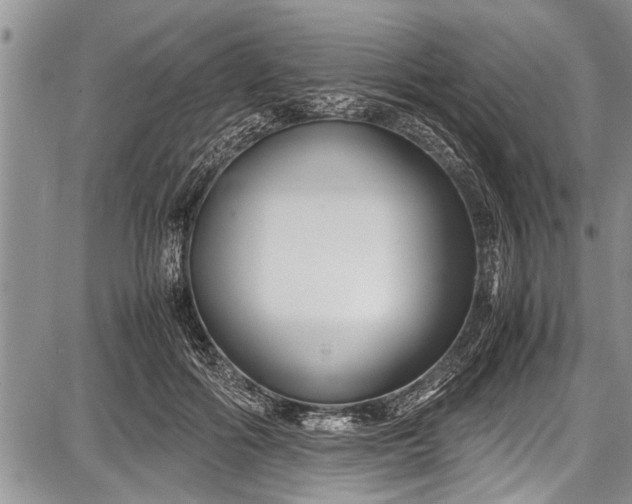 X0000087640602200705181527