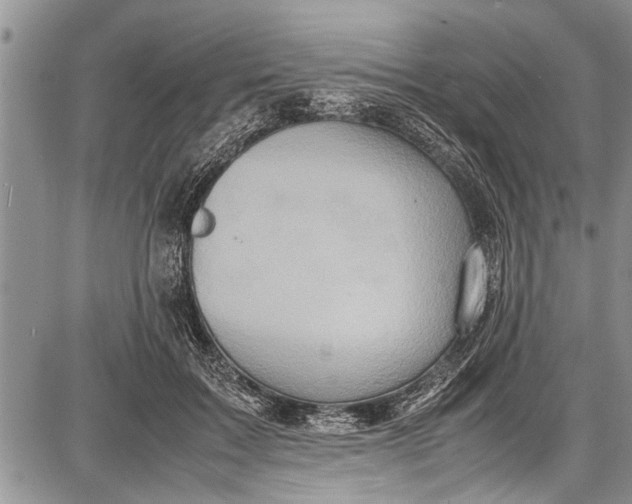 X0000087640603200705181527