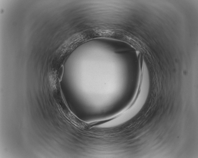 X0000087640604200705181527