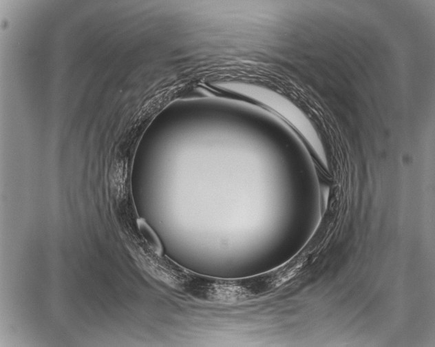 X0000087640605200705181527