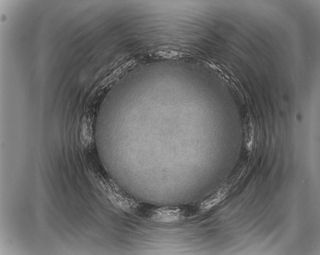 X0000087640606200705181527