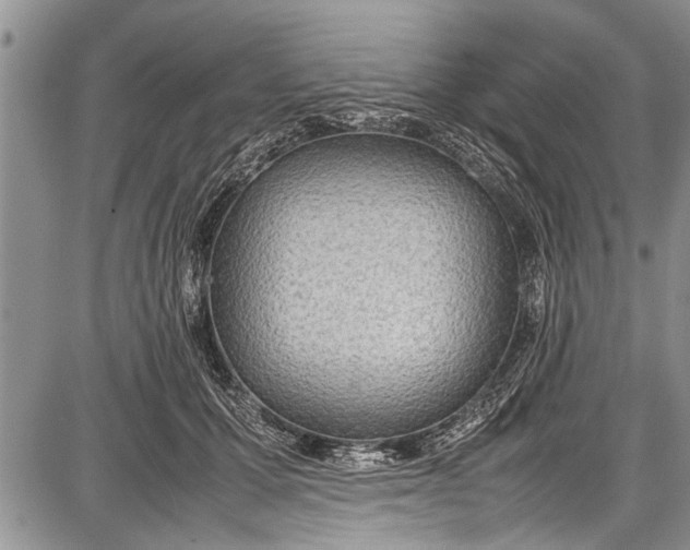 X0000087640607200705181527