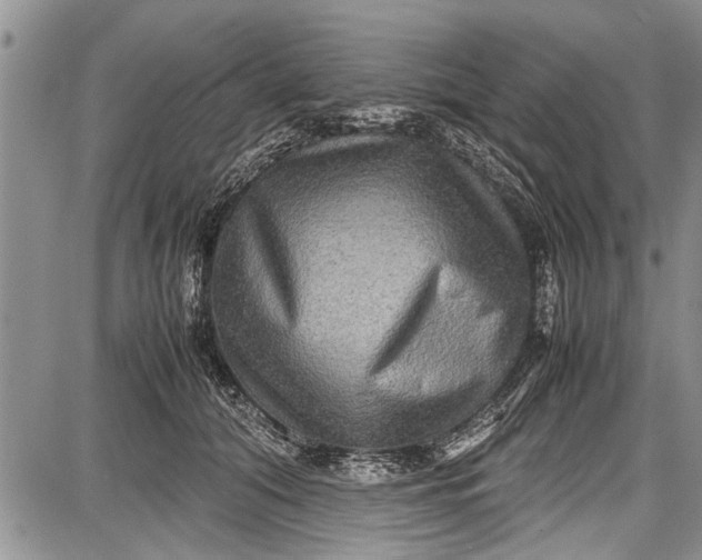 X0000087640608200705181527