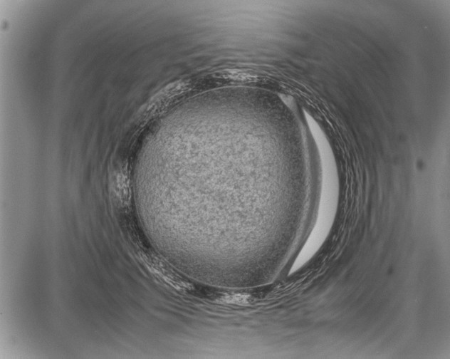 X0000087640609200705181527