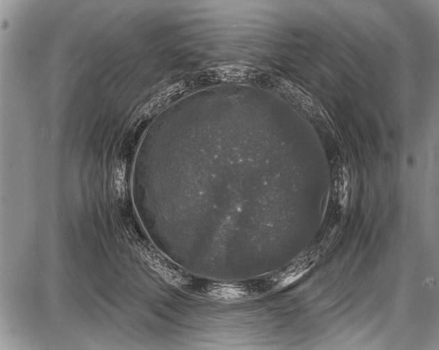 X0000087640610200705181527