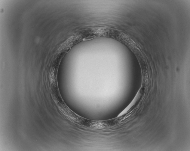 X0000087640611200705181527