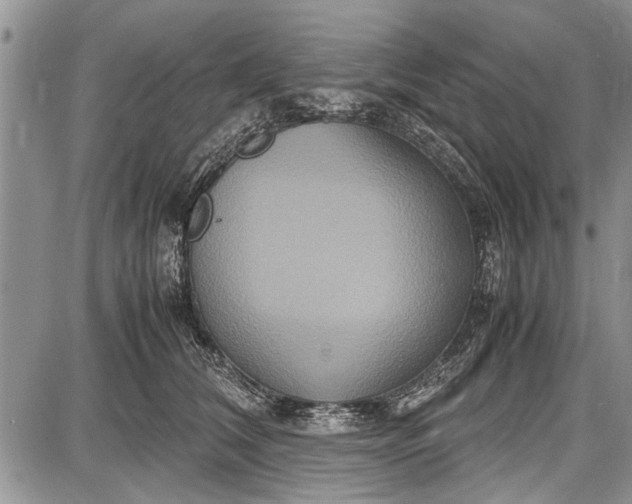 X0000087640612200705181527