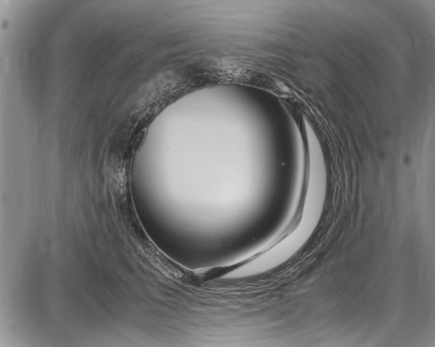 X0000087640613200705181527