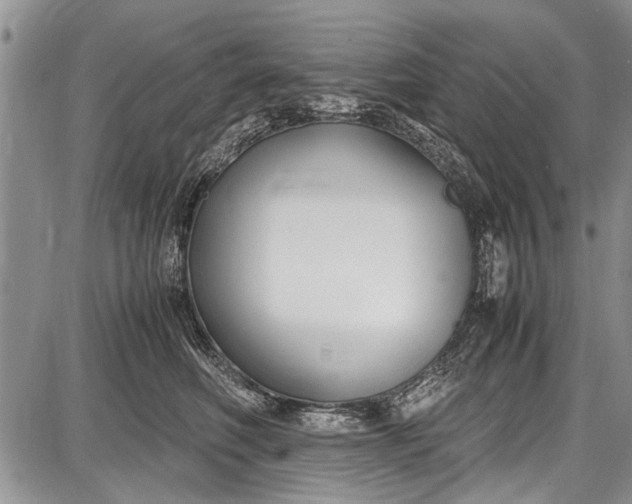 X0000087640614200705181527