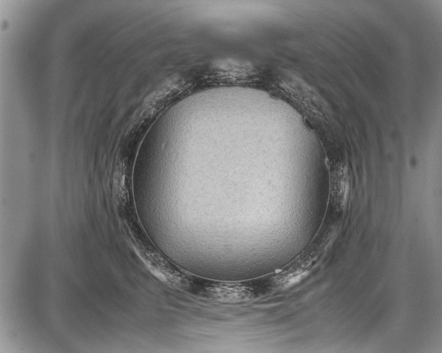 X0000087640615200705181527