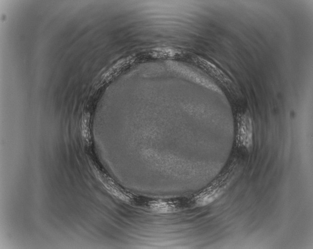 X0000087640616200705181527