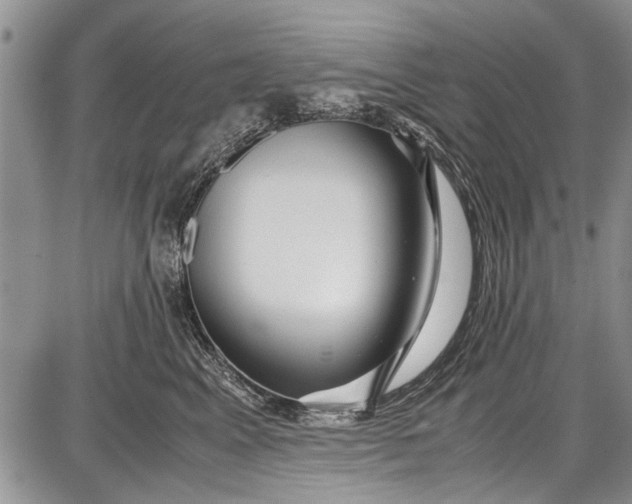 X0000087640617200705181527