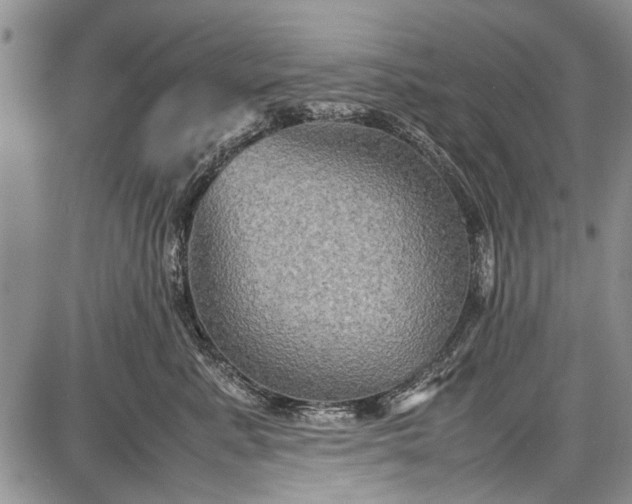 X0000087640619200705181527