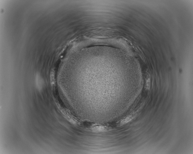 X0000087640620200705181527