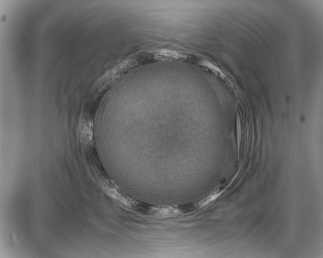 X0000087640621200705181527