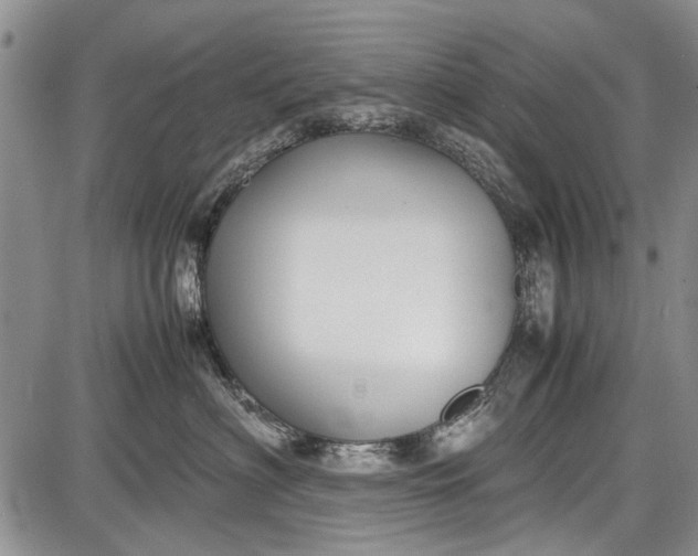 X0000087640622200705181527