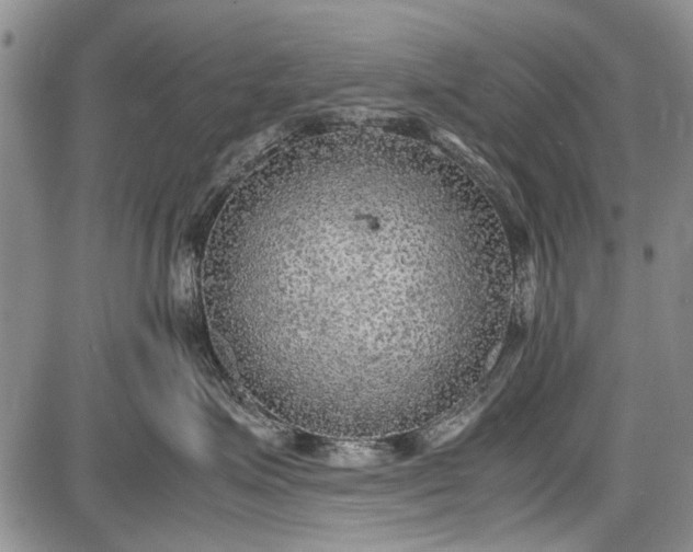 X0000087640623200705181527